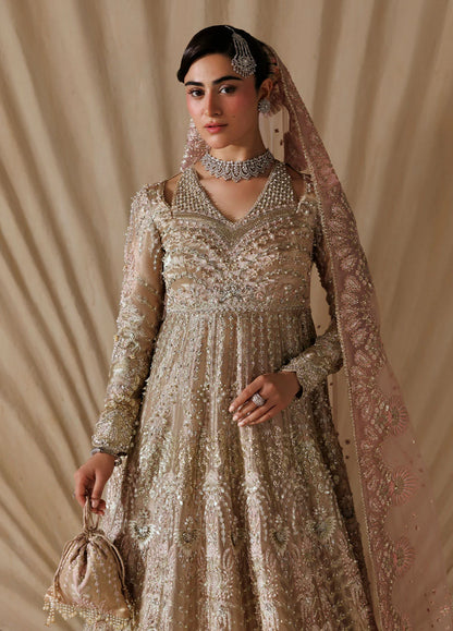 Sardinia Brides 26 Regalia 1803