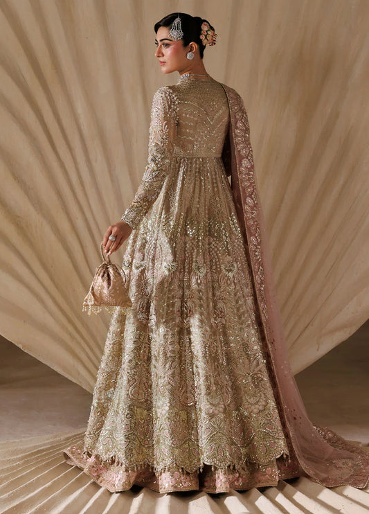 Sardinia Brides 26 Regalia 1803