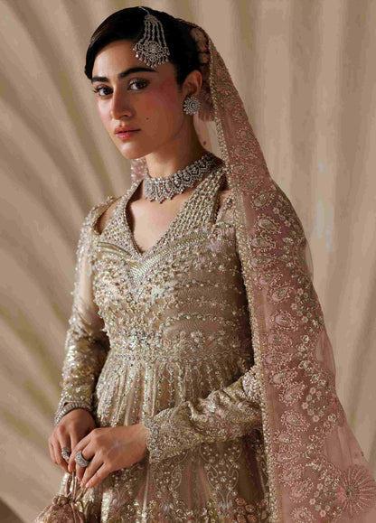 Sardinia Brides 26 Regalia 1803