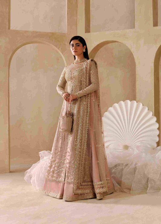 Sardinia Brides 26 Elara 1806