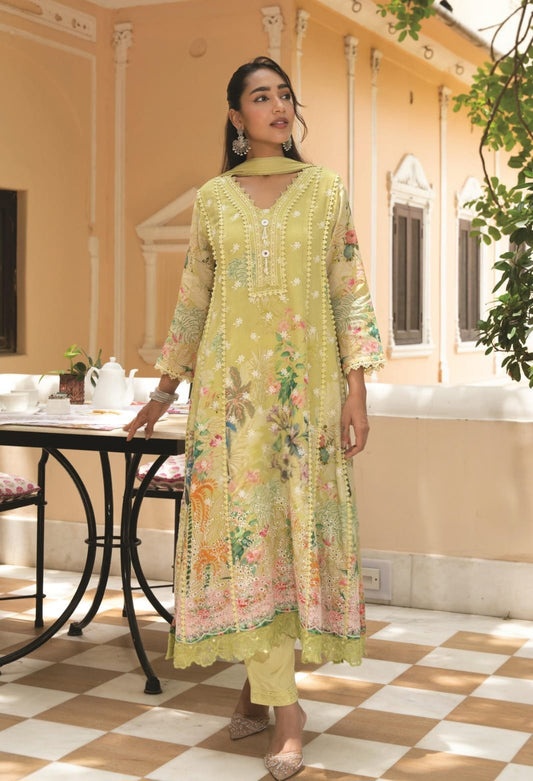 Lime Mul Chanderi Lace Anarkali