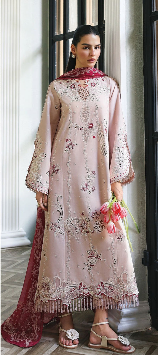Qalamkar Qline 26 Drop 1 | Reyna