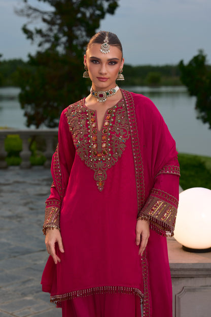 Rani Farshi Salwar Suit Set with Hand Embroidery
